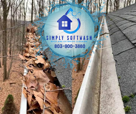 Gutter Debris Removal Service in Lancaster SC